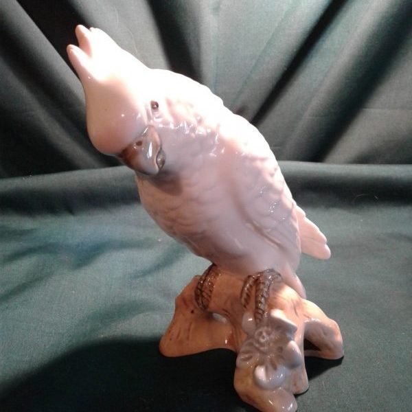 Royal dux cockatoo