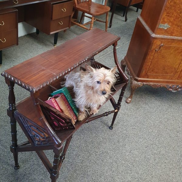 Antique Victorian Style Book Trough Bookcase