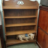 Antique Arts &amp; Crafts Oak Bookcase Shelves