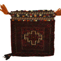 BELUTCH BAGFACE 41cm x 38cm
