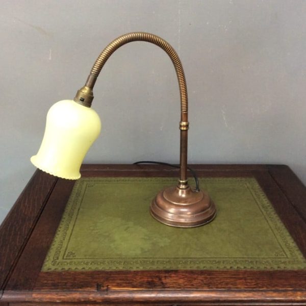 Early 20th Century Gooseneck Desk Lamp