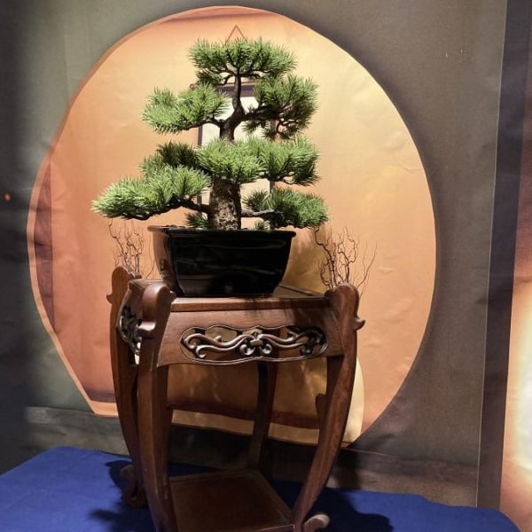 Bonsai table