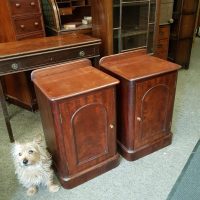 Antique Victorian Pair of Bedside Cabinet Tables