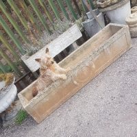 Long Vintage Antique Style Garden Planter