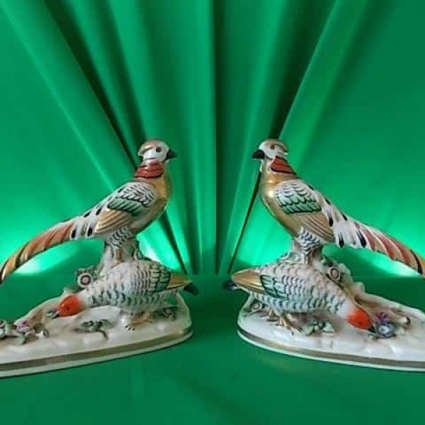 Pr of Samson Golden pheasants.