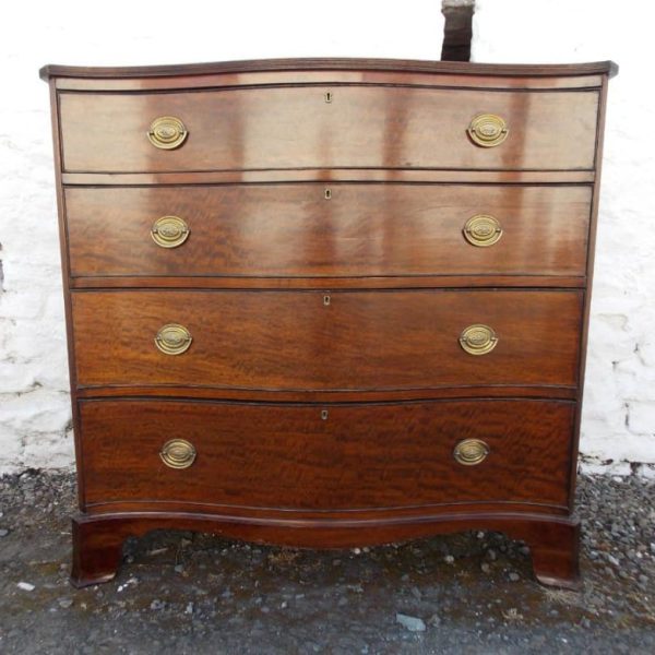 Georgian serpentine plum pudding mahogany chest of drawers
