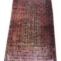 BELUTCH 158cm x 99cm