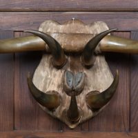 19th‑Century Mounted Arrangement of Cattle Horns and Hooves SAI4242