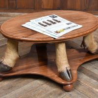 Taxidermy Oval Coffee Table SAI4297