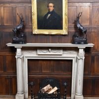 Fire Surround and Grate SAI4310