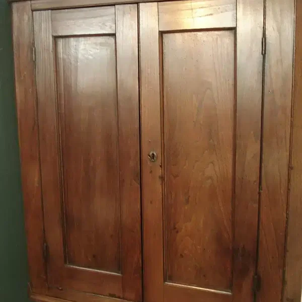 Elm Two Door Hanging Corner Cupboard