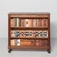 Neat-sized Regency figured rosewood open bookcase with a lovely colour and patina