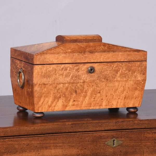Quality George IV Birdseye Maple Tea Caddy