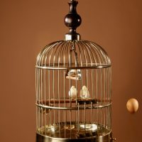 A Brass Very Decorative round Bird Cage Circa 1920