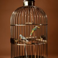 Very Large Real Antique Brass Decorative Round Bird Cage Circa 1920 
