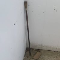 Horned gentleman’s walking stick sword stick