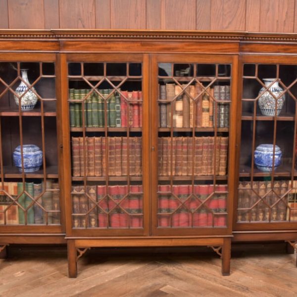 Mahogany Chinese Chippendale Style Bookcase/ Display Cabinet SAI2644