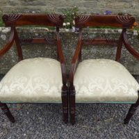 Pair of mahogany William IV carvers circa 1835