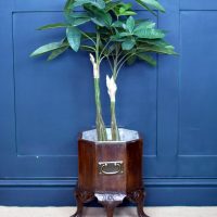 Edwardian Jardiniere in the Georgian Style Ice Bucket-Plant stand