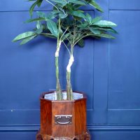 Edwardian Jardiniere Plant Stand – Wine Cooler Ice Bucket
