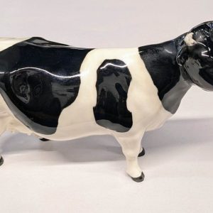 Small Friesian cow
