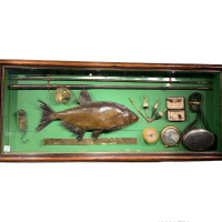 Framed fish montage in case