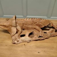 A Hand Carved Live Wood Iguana This wonderful piece is Carved from a single piece of wood