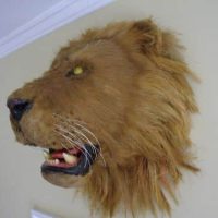 Lions Head Taxidermy Hand Made Film Prop