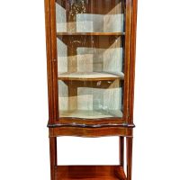 Edwardian Serpentine Fronted Display Cabinet