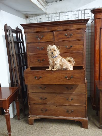 Antique Georgian Chest on Chest - Image 2