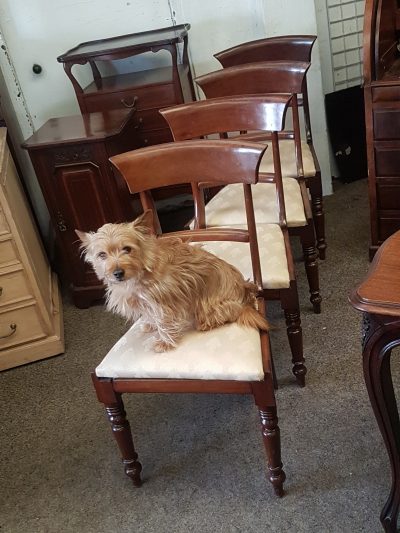 Antique Victorian Set of 4 Chairs - Image 5