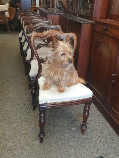 Antique Victorian Set of 6 Dining Chairs - Image 11