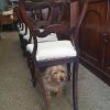 Antique Victorian Set of 6 Dining Chairs - Image 10