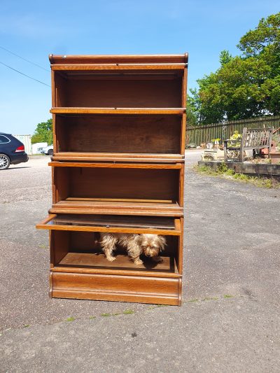 Antique Edwardian Globe Wernick Stacking Bookcase - Image 9
