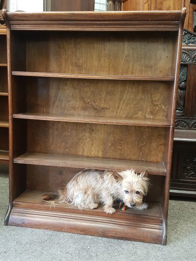Small Antique Edwardian Oak Bookcase - Image 3