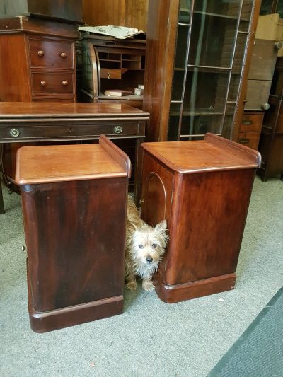 Antique Victorian Pair of Bedside Cabinet Tables - Image 3