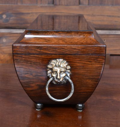 Rosewood Tea Caddy SAI3777 - Image 9