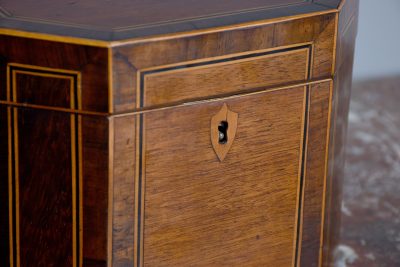 George III Mahogany Tea-Caddy - Image 5