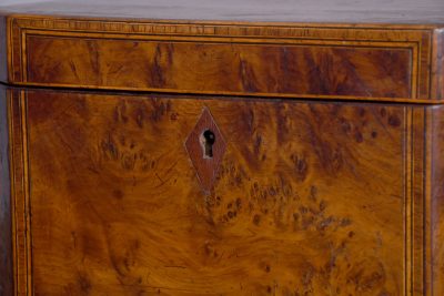 George IV Burr-Elm Tea Caddy - Image 2