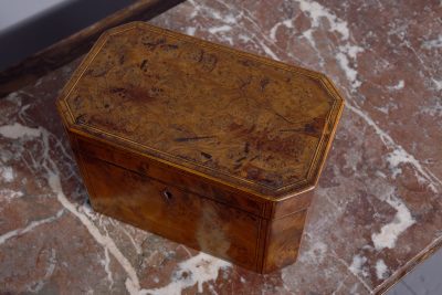 George IV Burr-Elm Tea Caddy - Image 3