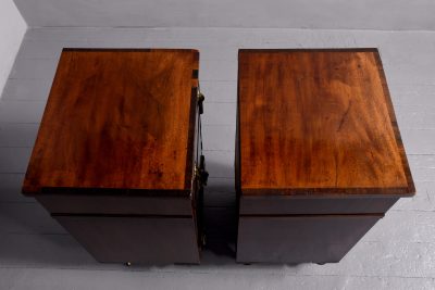 Attractive Pair of George III crossbanded mahogany pedestals - Image 4