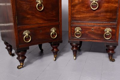 Attractive Pair of George III crossbanded mahogany pedestals - Image 5
