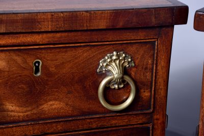 Attractive Pair of George III crossbanded mahogany pedestals - Image 6