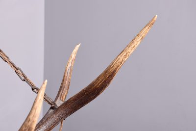 Four Lamp Antler Chandelier - Image 4