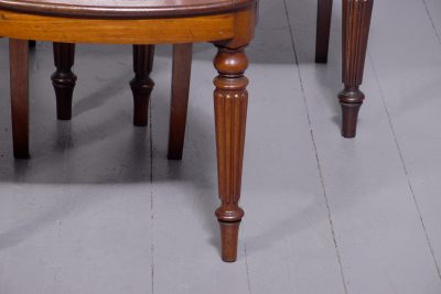 Set of Five George IV Heraldic Mahogany Hall Chairs - Image 2