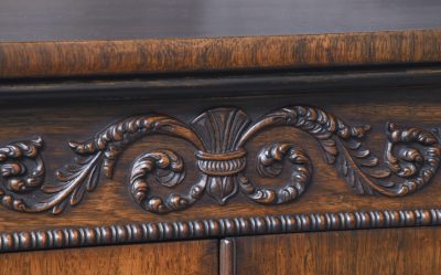 Superb Quality Neat-Sized Regency Rosewood Bookcase - Image 5