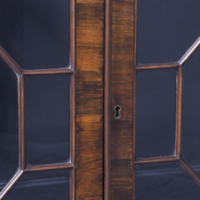 Superb Quality Neat-Sized Regency Rosewood Bookcase - Image 6