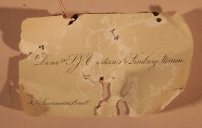 A Very Rare Dolls Child Chair, In The Hindeloopen Style, Dated 1796. - Image 12