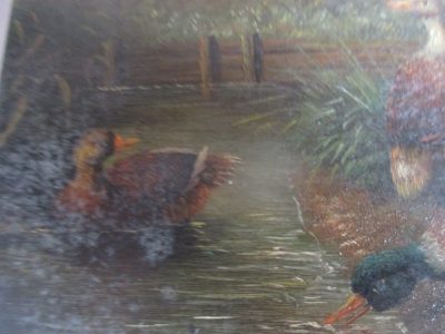 OIL PAINTING OF DUCKS ON WOOD EDWARDIAN   12 CM BY 17 CM SIGNED HAINSTER OR NAINSTER FREE POST - Image 3