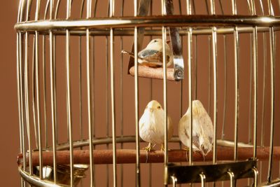 A Brass Very Decorative round Bird Cage Circa 1920 - Image 2